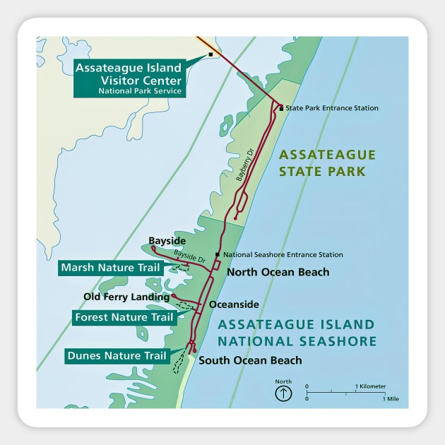 Outline Map of Assateague Island, MD Sticker by Swartwout